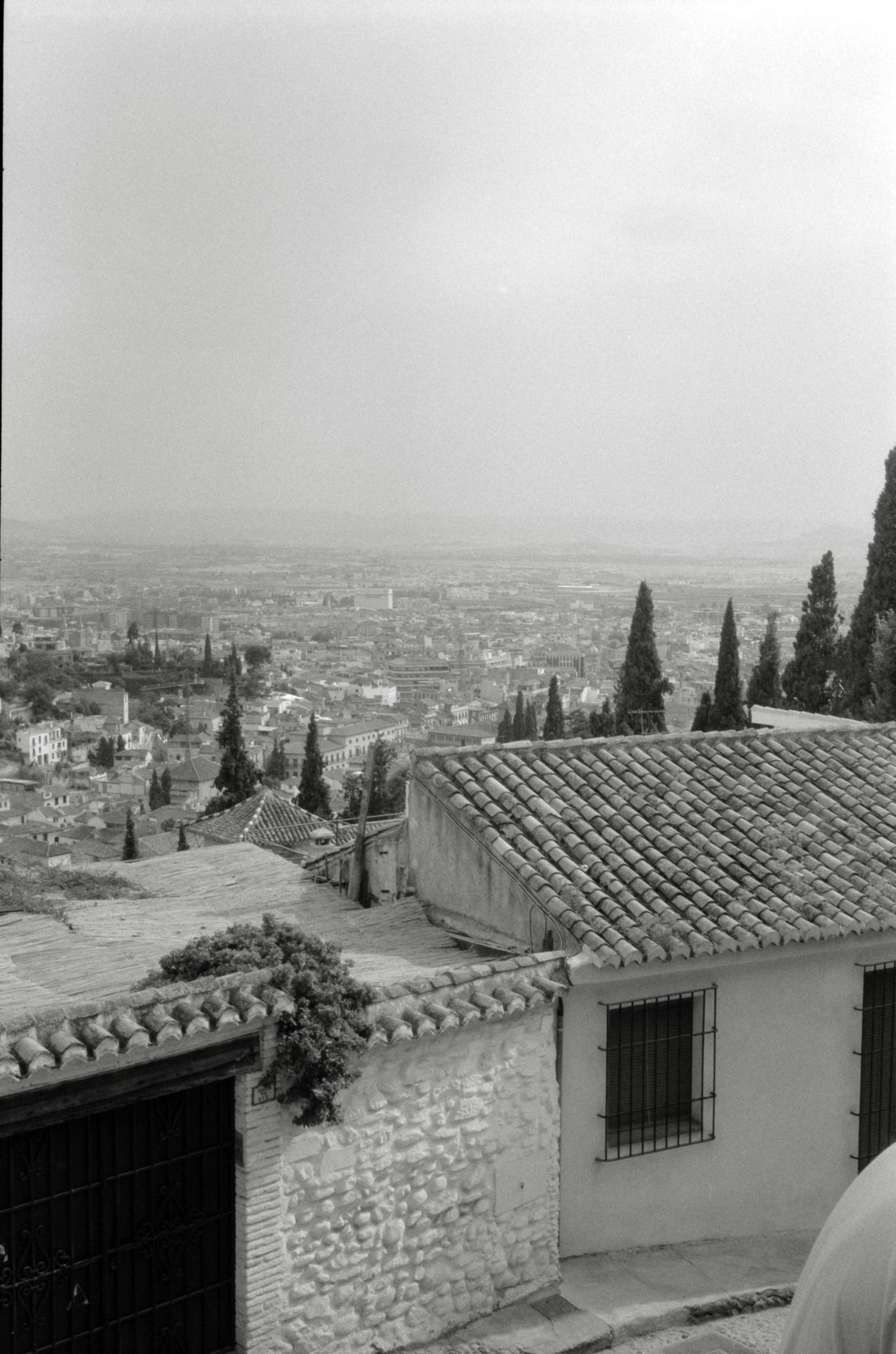 AHP F2001 07 001 sc240901 img16 NLP